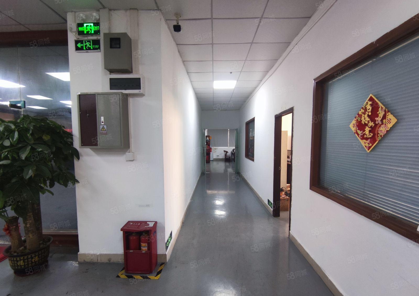 光明1285平地铁精装修无尘车间低价厂房仓库空地车位一楼出租