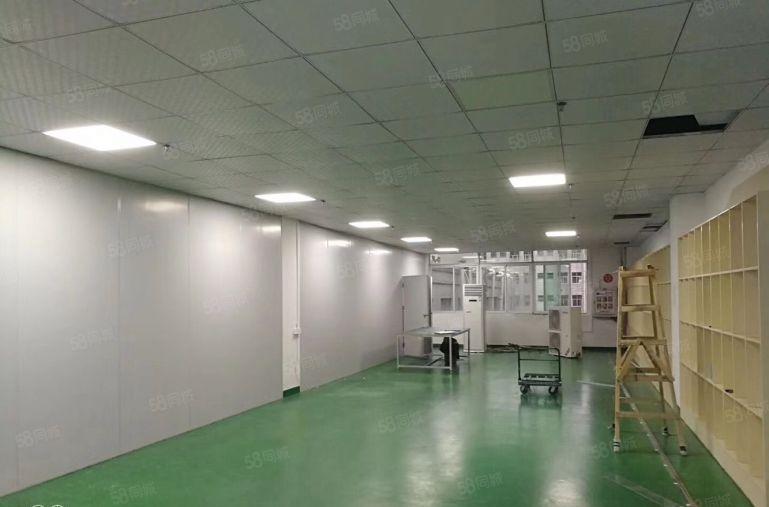 光明公明（小面积500平方）精装修 生产 办公 仓库水电齐全