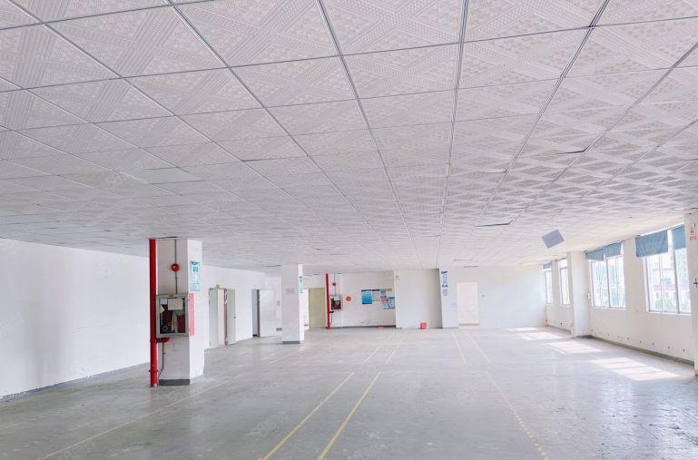 光明田寮一手房东实际面积3000平有装修高速口地铁站旁可分租