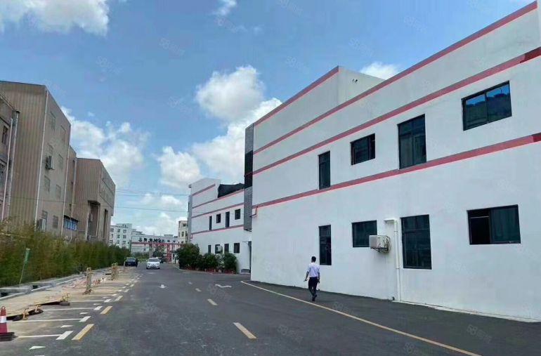 公明蒋石2层独院3000平带装修，空地超大（电量充足已电改）