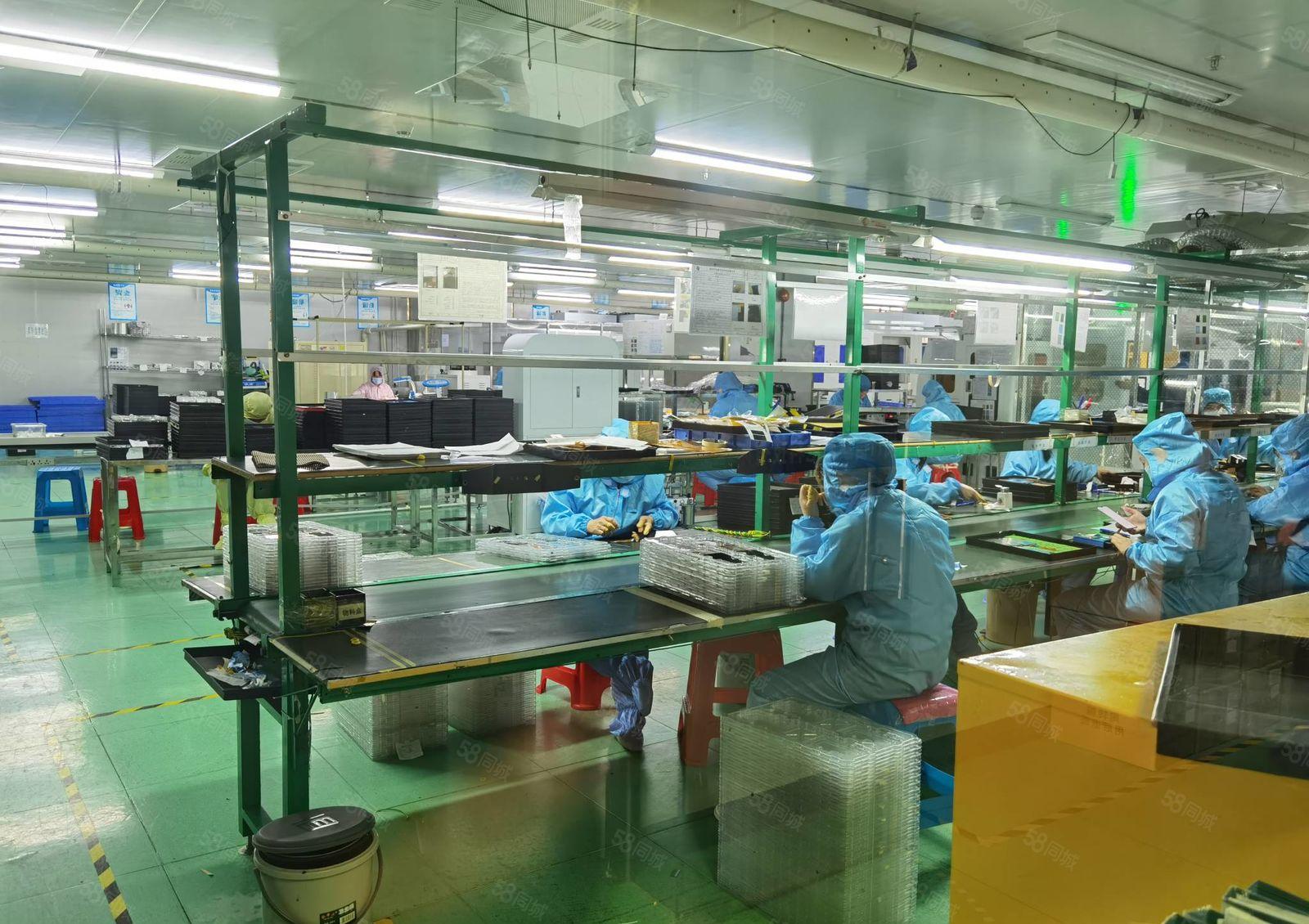 光明高新区原医疗设备厂分租1780平精装厂房，无转让费