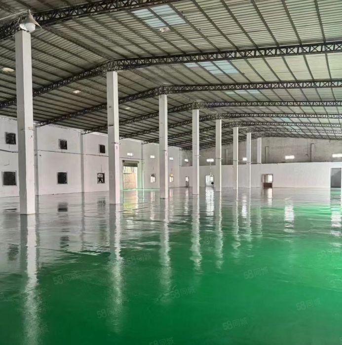 公明楼村独院钢构厂房（2600平高度9米，全新地平漆）交通好