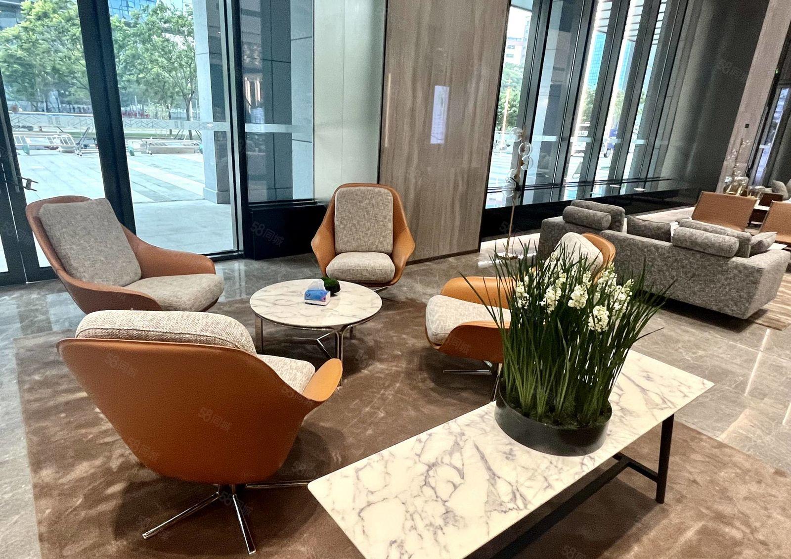 全年租金减半，光明高新红本厂房出租，政府项目补贴20元一平