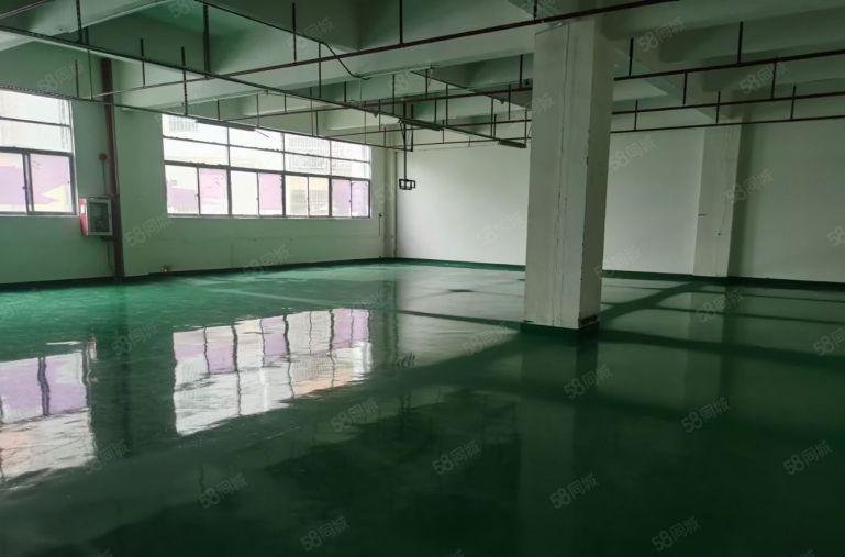 光明楼村地铁口花园式厂房出租1500平 水电到位