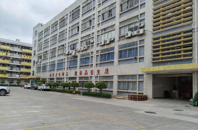 光明公明原房东新出1000平至8000平厂房仓库出租大小分租