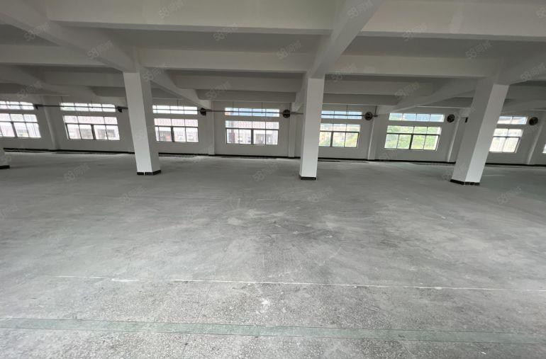 光明区公明街道4800平独栋村委标准厂房低价出租原房东