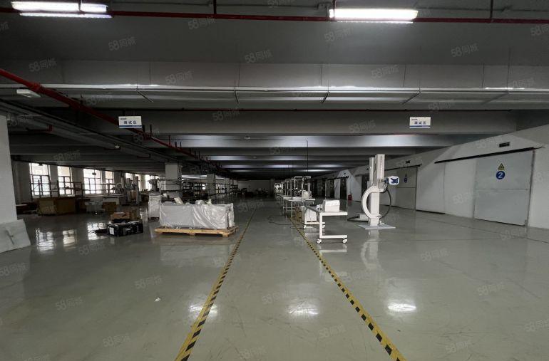 光明原房东6800平红本独院厂房一楼上300起租空地大好招工