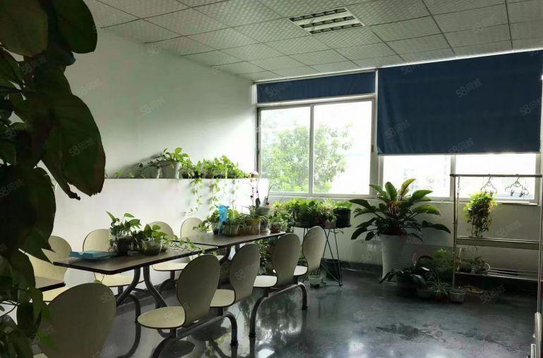 公明长圳外环高速出口（2000平精装修，可分租500平起）