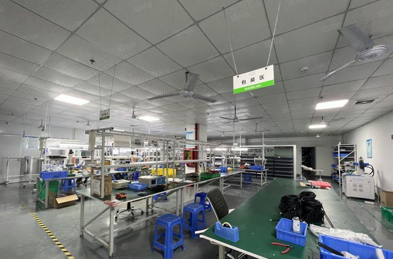 光明茨田埔新出原房东带红本独院5000平米实际面积精装修