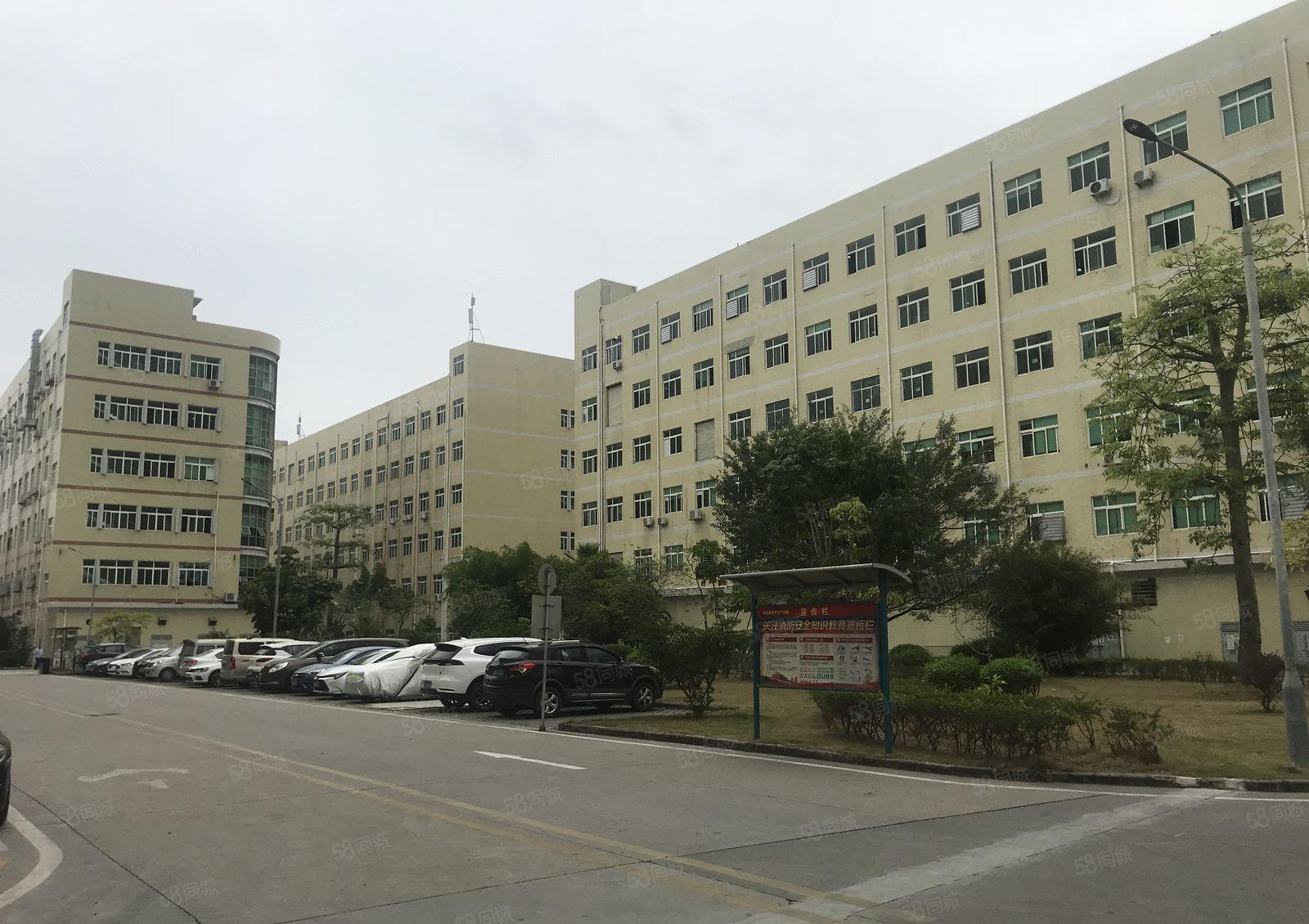 光明祥发声工业园带装修1000平厂房出租原房东仓库生产可分租