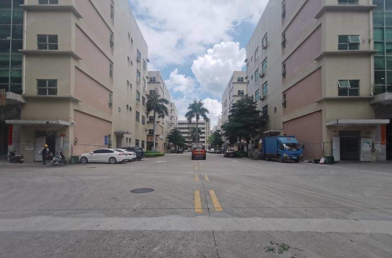 光明上村新出原房东实际面积3楼1500平无尘车间豪华装修