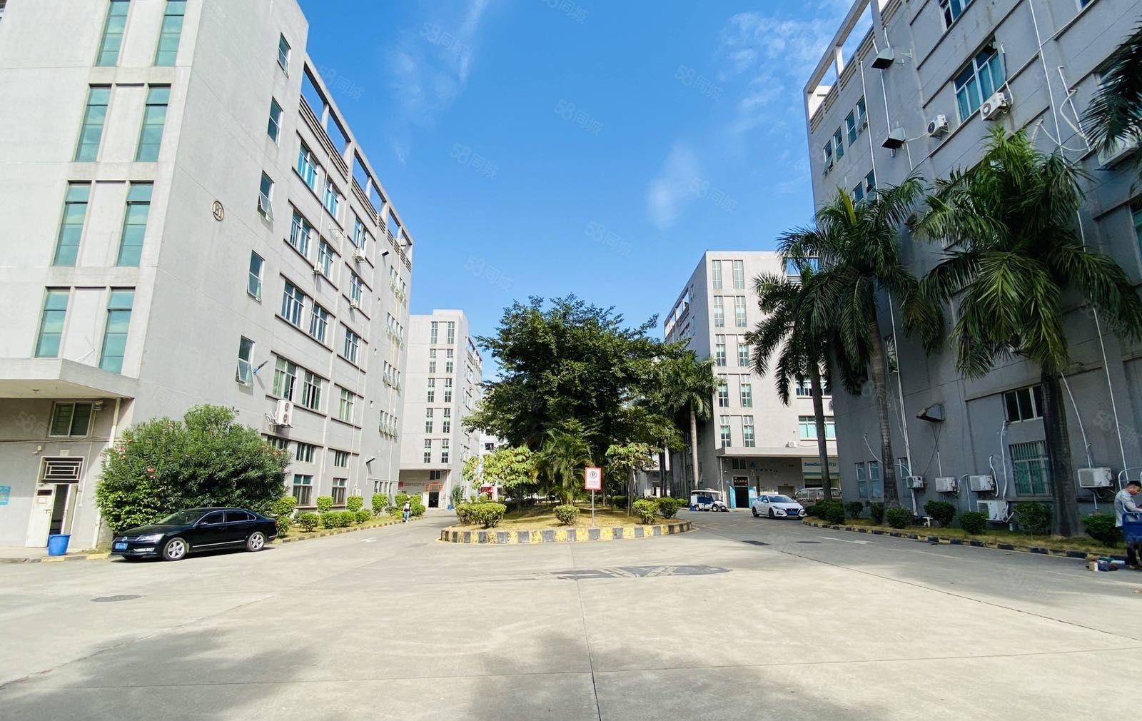 一手房东直租光明楼上3000平红本厂房可办环评享政策补贴