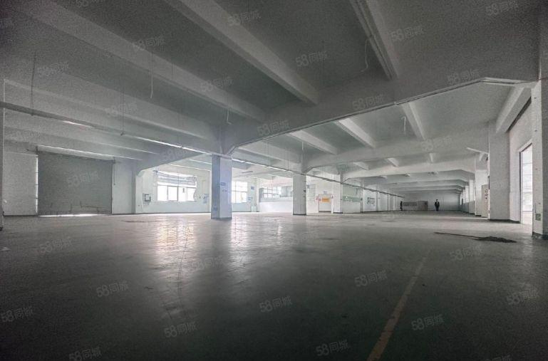 公明原房东独栋15000平厂房出租精装修  带有红本