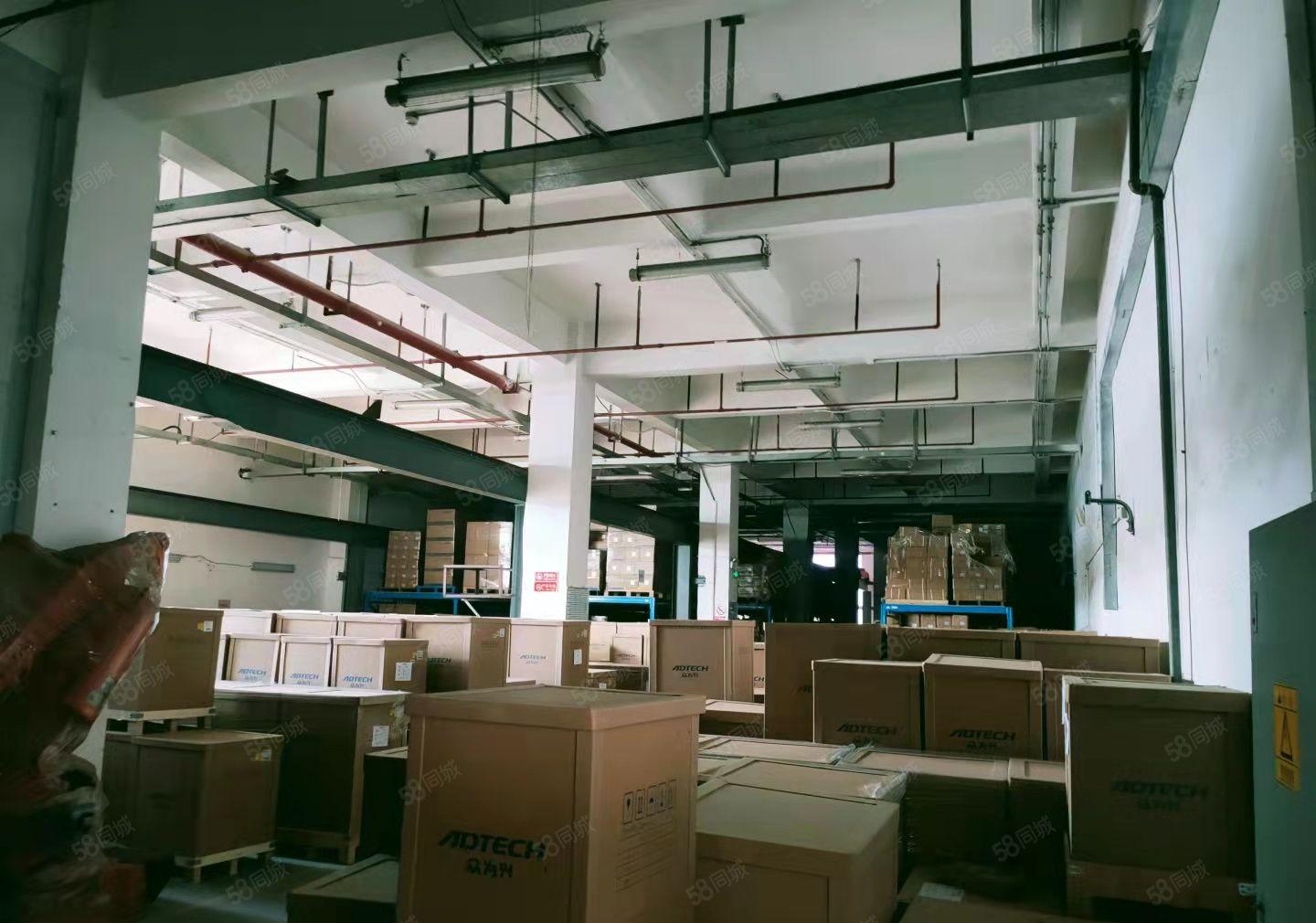 公明整栋厂房9500平方，工业园，厂房出租，可以分租，带红本