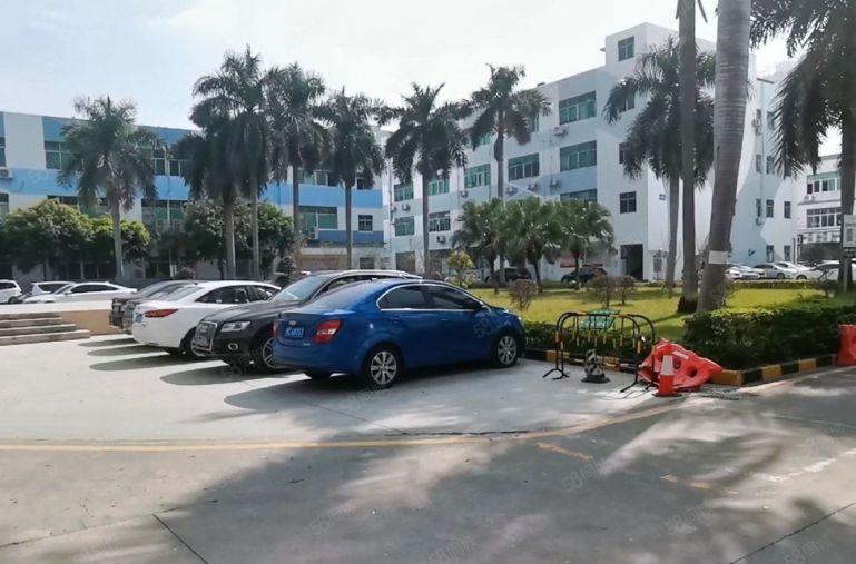 光明长圳年底特价22元一平方精准修1500平办公仓库厂房出租