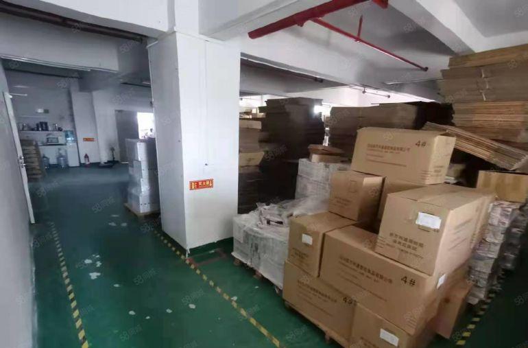公明蒋石800平厂房出租分450，350适合电商仓库办公贸易