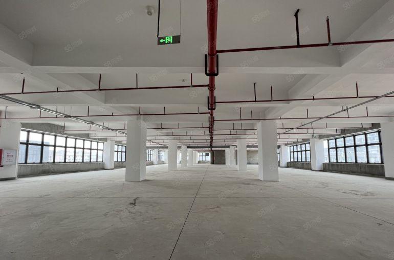 有补贴 光明国企红本厂房1500平方出租形象好带卸货平台喷淋