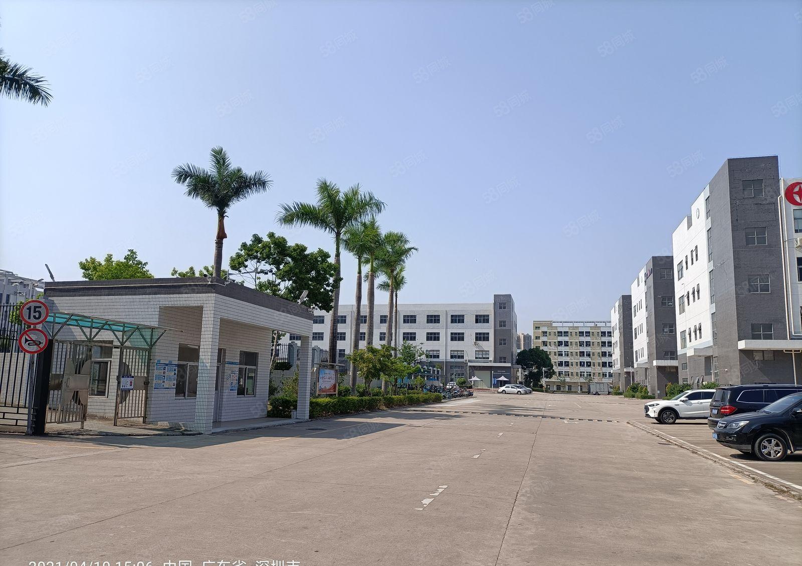 500平起分租光明地铁口原房东红本办公研发厂房6000独栋出