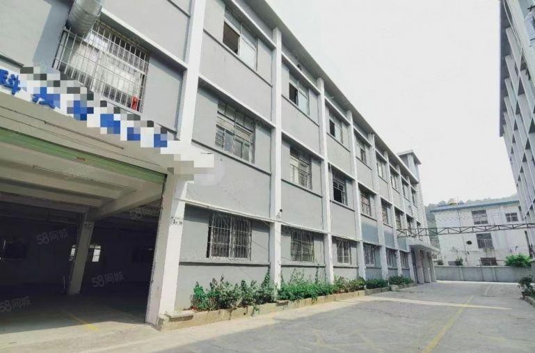 光明红星独院厂房出租5000平方 空地大 大小可分租行业无限