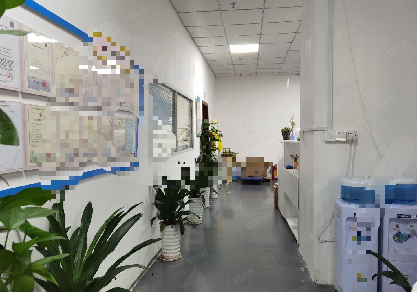 公明厂房，仓库出租，2楼1400平可分500平起，有无尘车间