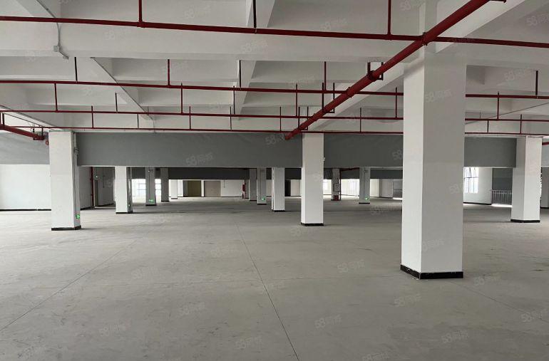 13元租全新红本厂房，仓库1000~4300平可做纸箱，电池