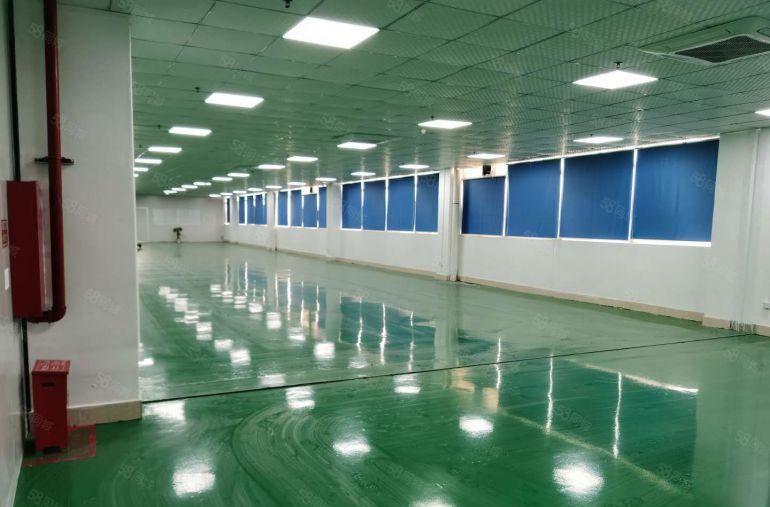 19起租光明无尘车间2000平方米厂房出租现成装修无需装让费