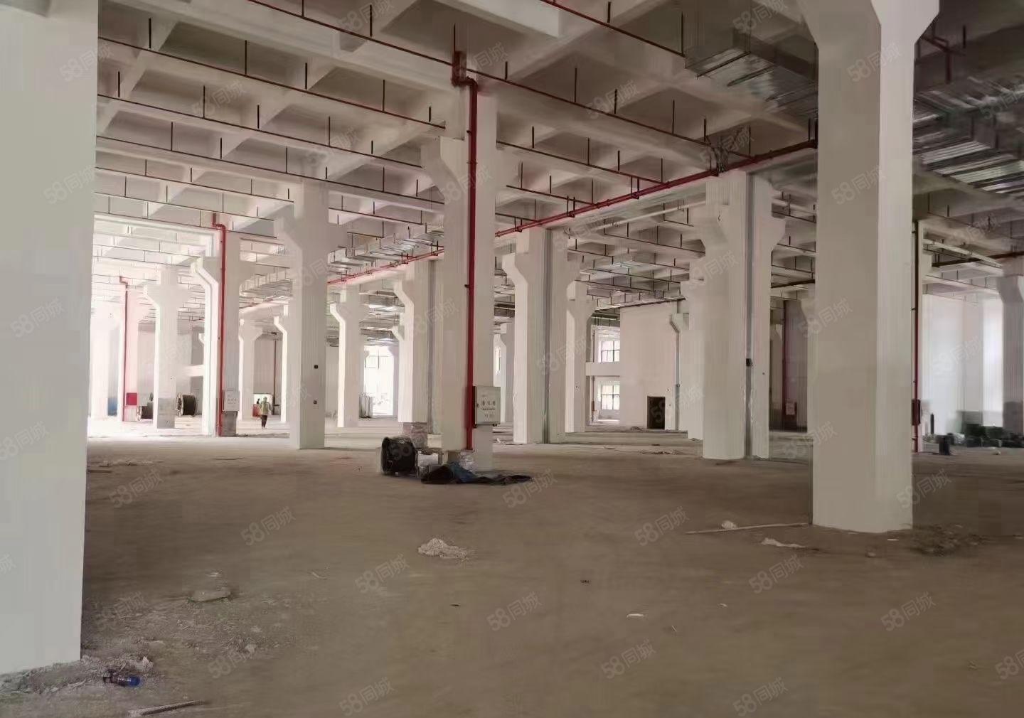 （光明高新区红本全新花园式厂房30万平米）房东直租可分租