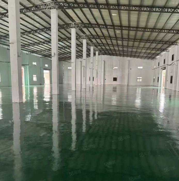 公明楼村独院钢构厂房（2600平高度9米，全新地平漆）交通好