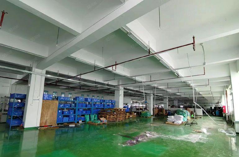 公明特价厂房出租20元一平（2000平层高4米，有消防喷淋）