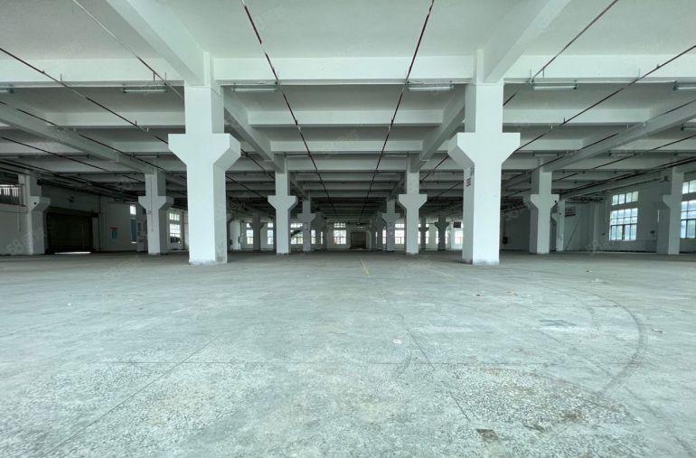 光明马头山原房东5000平厂房出租 实际面积出租 大小可分租