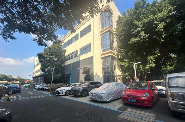 光明凤凰城地铁13层5000平起租1600平独门独院村委