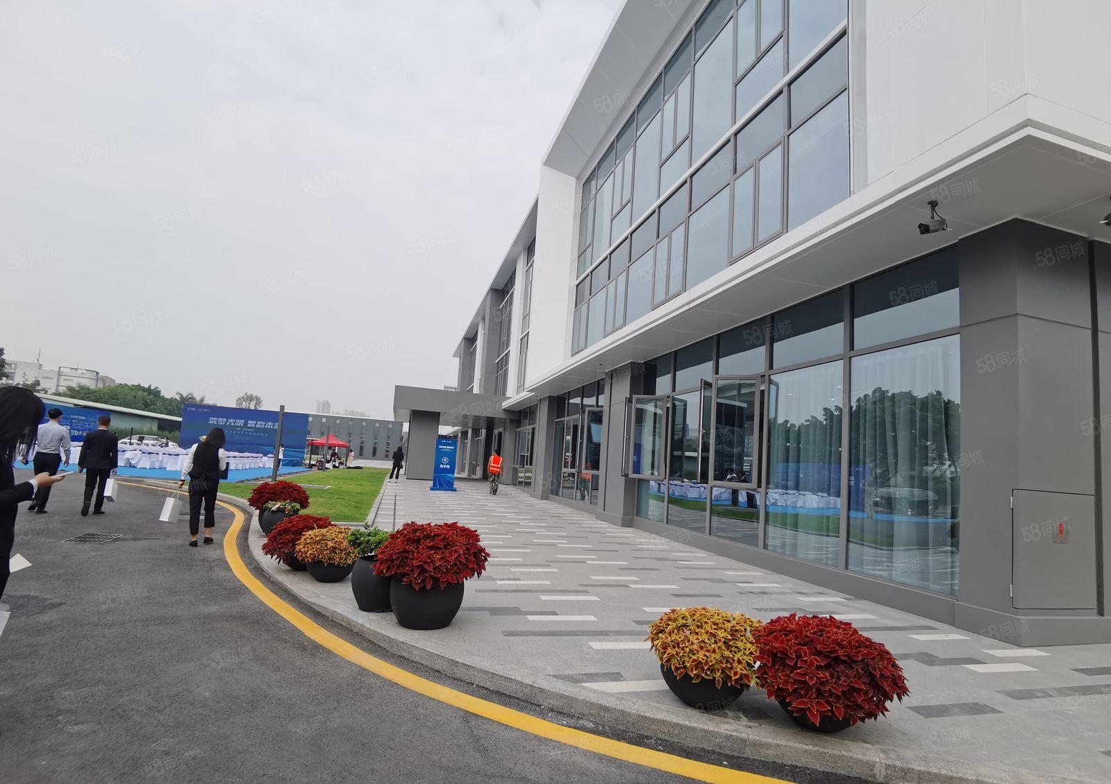 光明高新区全新独栋红本厂房5.3万平，每栋3800平可分租。