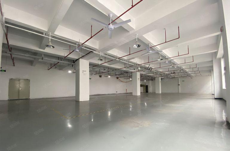光明公明高新产业园精装修厂房办公出租一楼仓库300平可分租