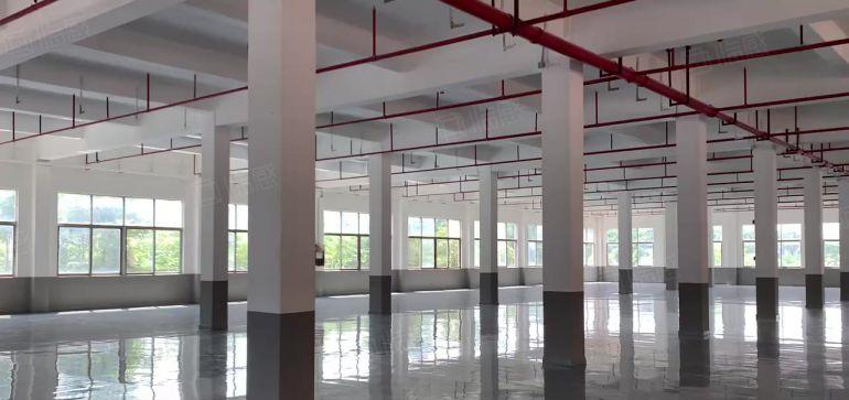 甲子塘26元光明厂房出租6380平原房东红本公摊小空地大