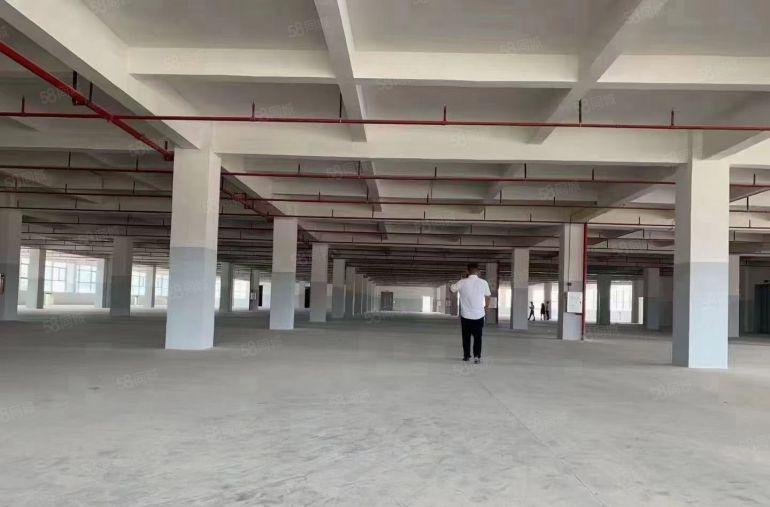 光明田寮高速口大型物流仓库冷冻库厂房1000平起至2万平招租