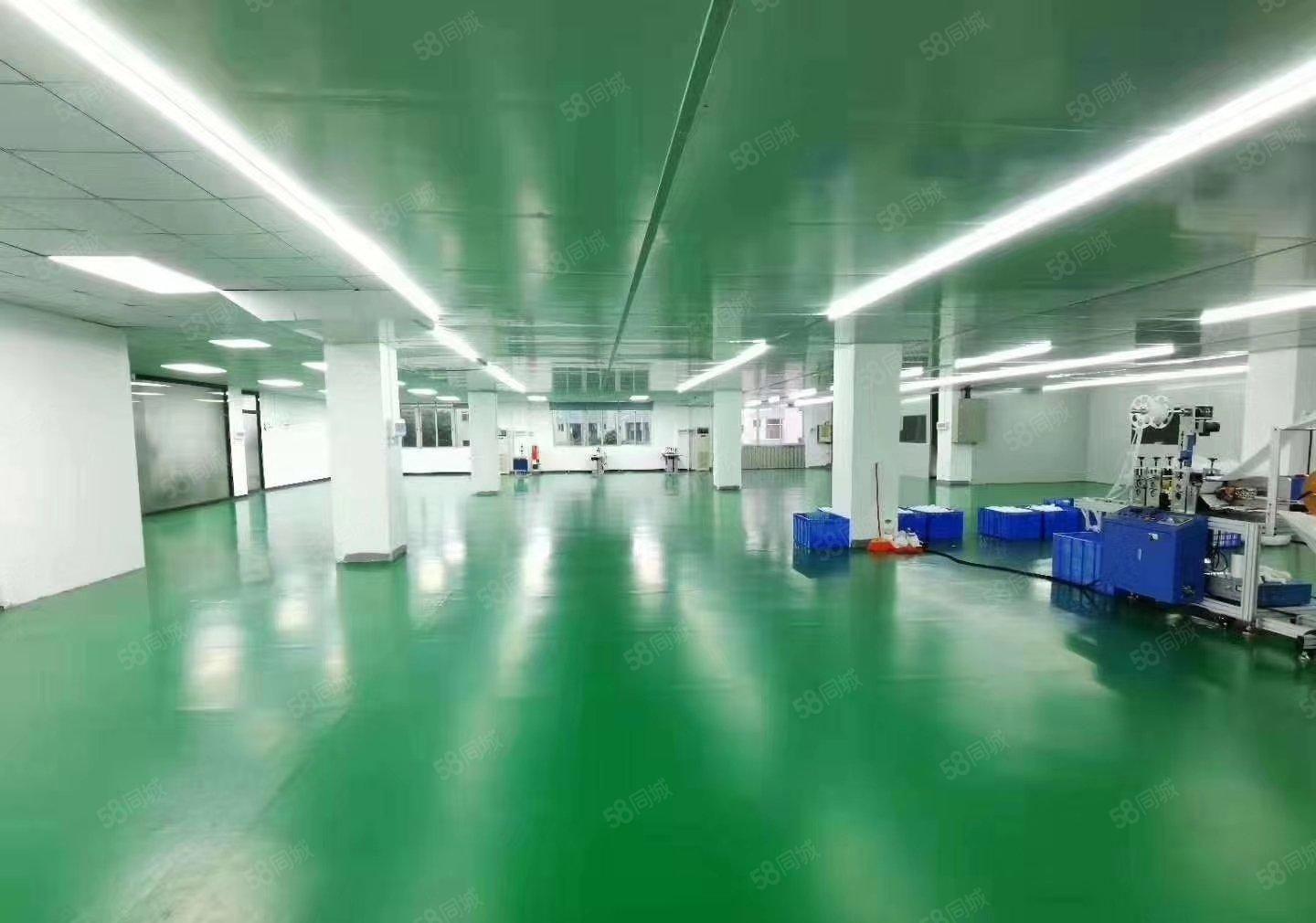 公明田寮楼上厂房出租（1000平，17元） 房东急租