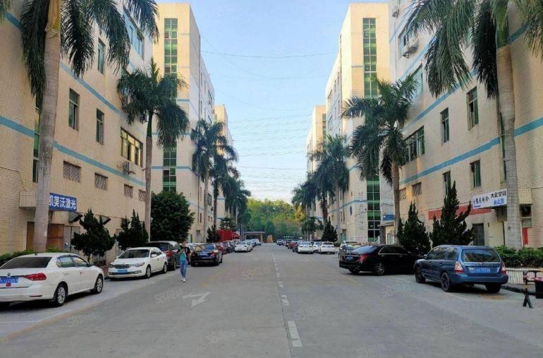 光明厂房出租带装修5000平厂房出租可分租工业园低价仓库出租