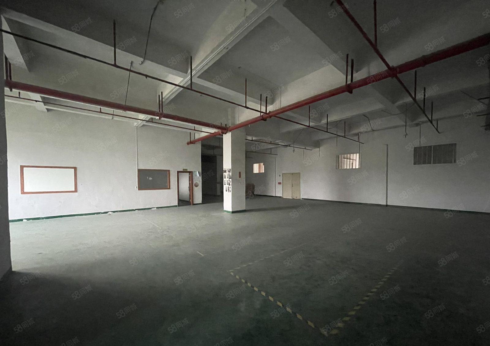 光明将石新出楼上标准厂房现成格局650平