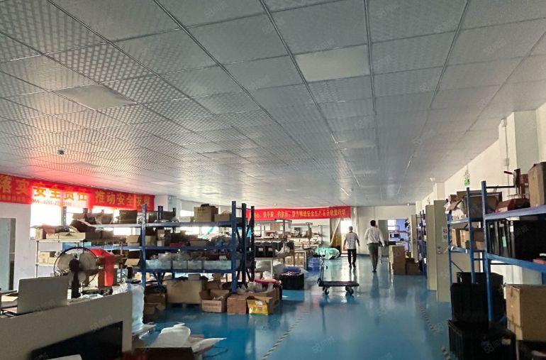 光明楼上1000平厂房出租仓库出租可分租特价招租