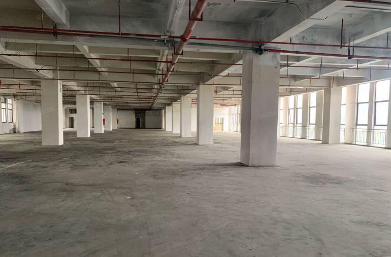 光明田寮大型工业园楼上整层4000平五吨货梯带卸货平台