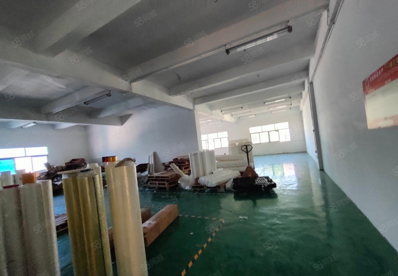 光明将石新出楼上标准厂房现成格局650平