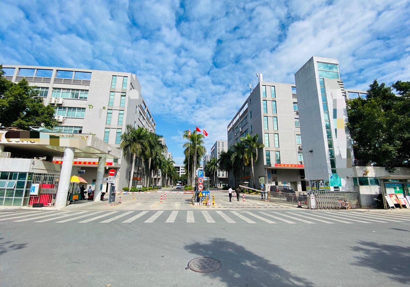 一手房东直租光明楼上3000平红本厂房可办环评享政策补贴