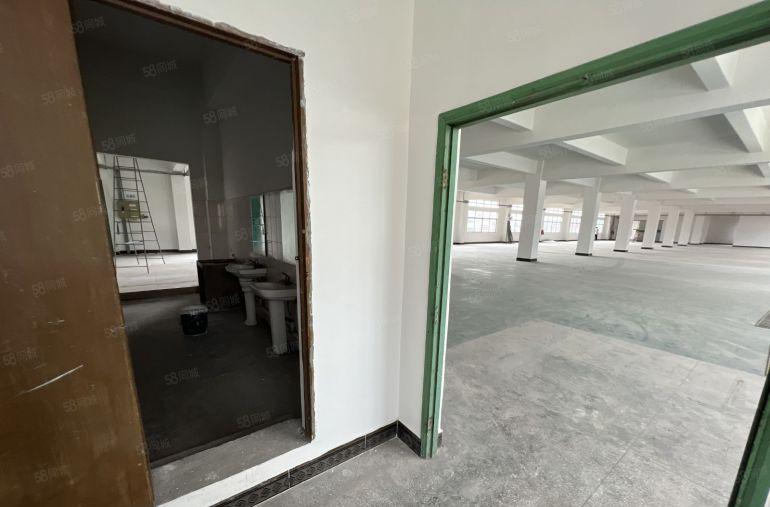 光明区公明街道4800平独栋村委标准厂房低价出租原房东