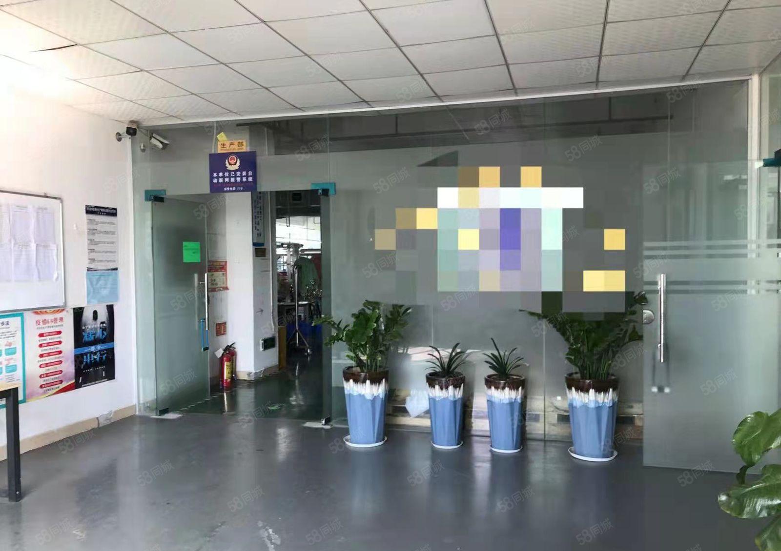 光明特价厂房出租（18元全包，精装900平，面积实在可实量）