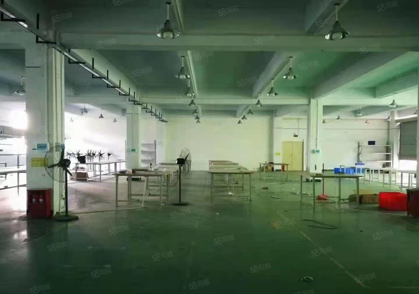 光明楼上950平（专线，不停电，不限电，重工业厂房出租）公明