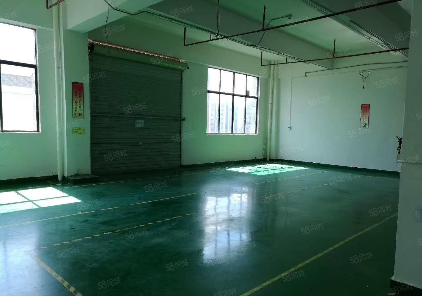 光明将石新出楼上标准厂房现成格局650平