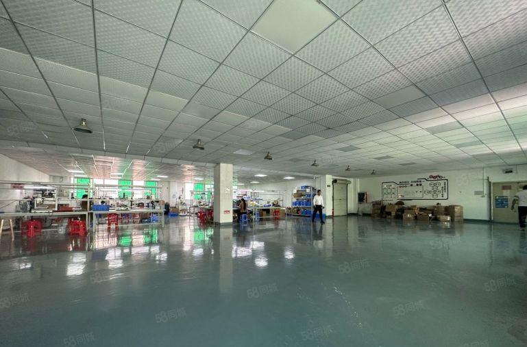 光明高新园全新厂房1500平精装修办公生产组装仓库，厂房出租