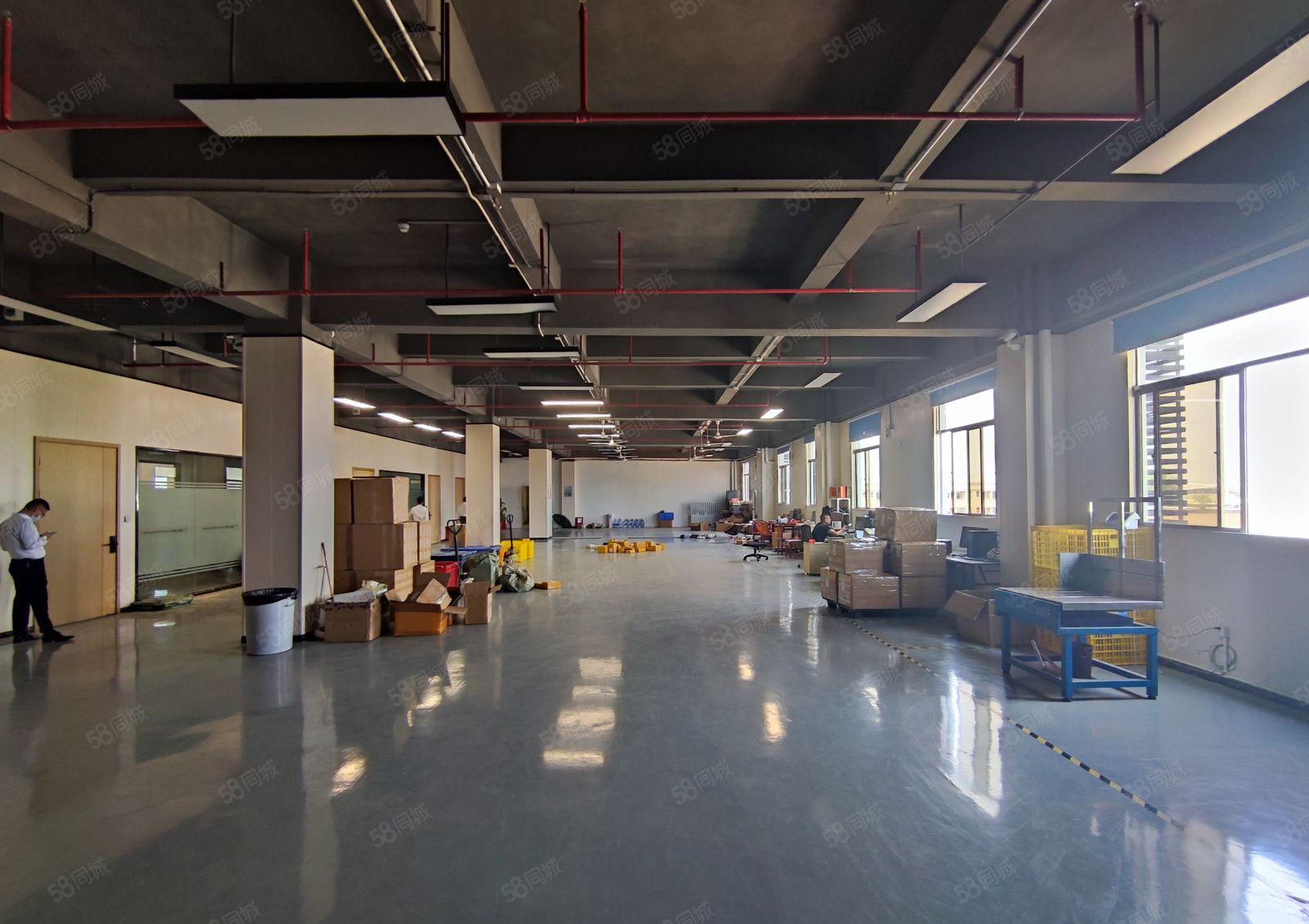 光明1285平地铁精装修无尘车间低价厂房仓库空地车位一楼出租