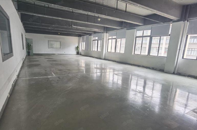 光明村委原房东厂房出租 1000平至3000平大小面积都有