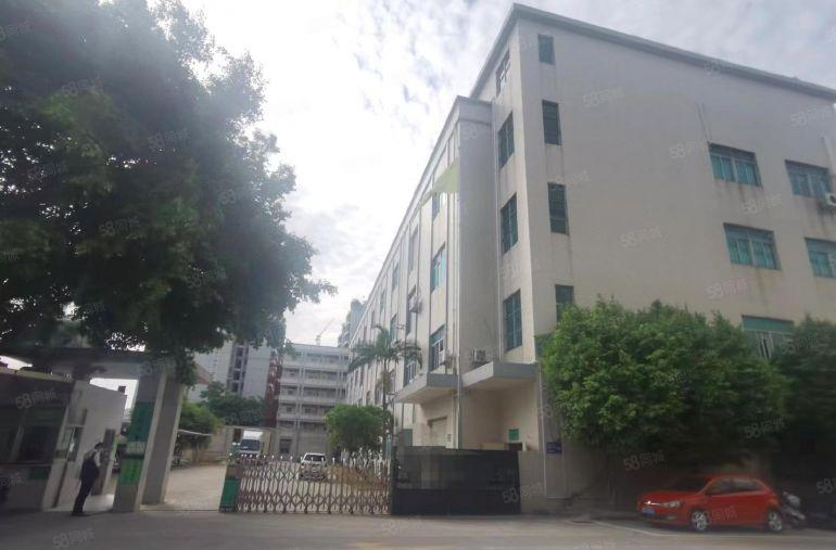 公明马山头新出原房东6000平独门独院可办环评厂房出租可分租